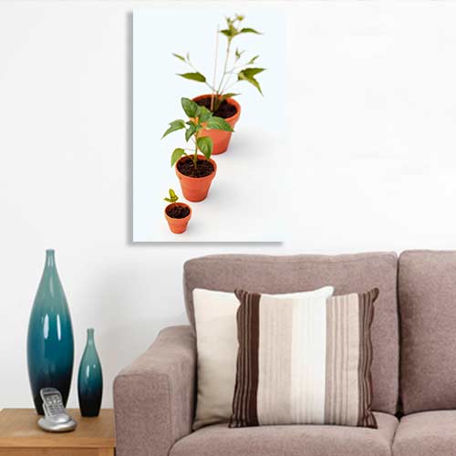 Quadro Decorativo - Jardim vasos de muda